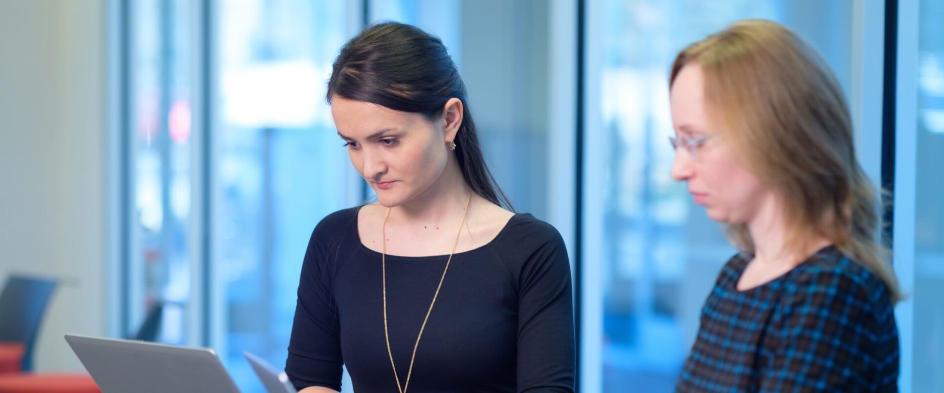 Everything You Need to Know About Obtaining a Business License